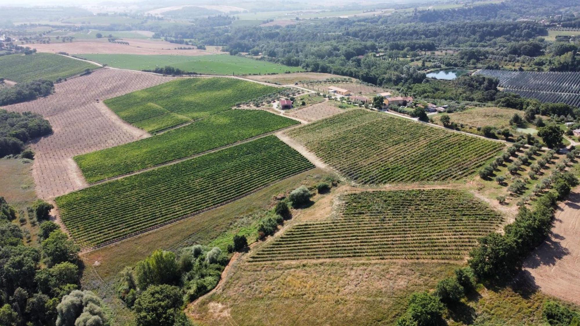 Agriturismo Podere Casa Al Vento Montepulciano Stazione Εξωτερικό φωτογραφία