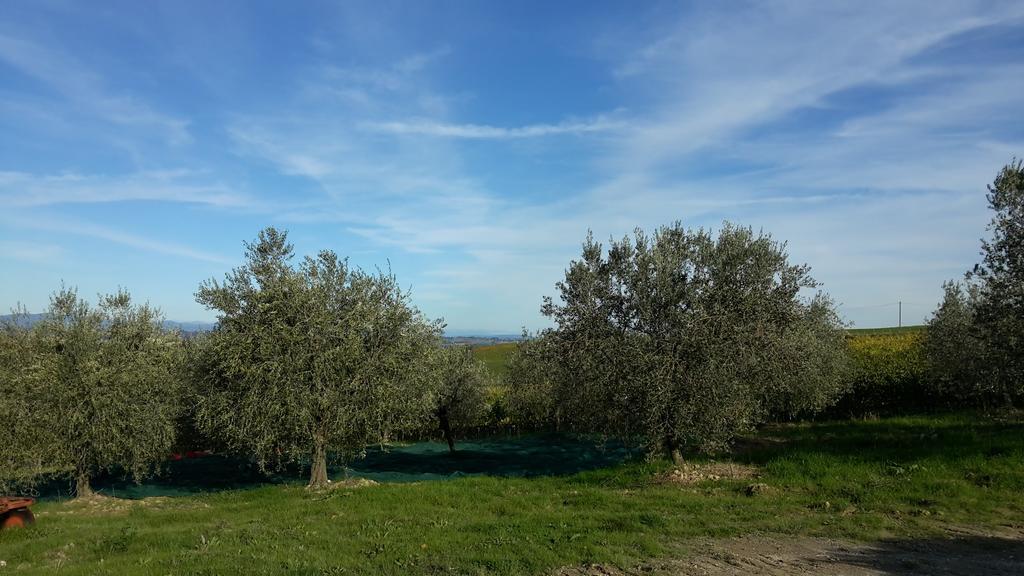 Agriturismo Podere Casa Al Vento Montepulciano Stazione Εξωτερικό φωτογραφία