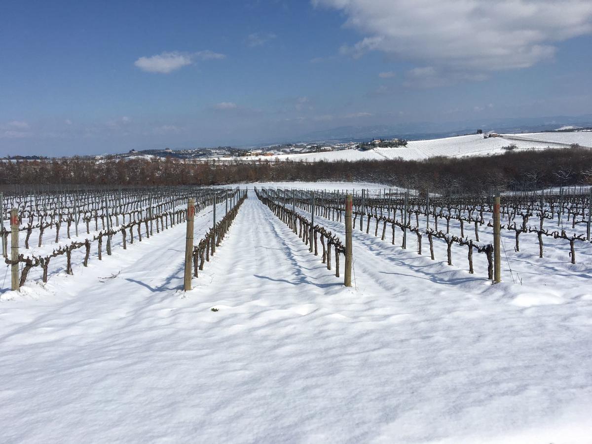 Agriturismo Podere Casa Al Vento Montepulciano Stazione Εξωτερικό φωτογραφία