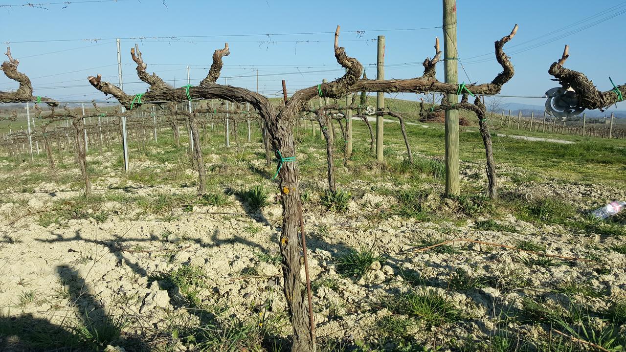 Agriturismo Podere Casa Al Vento Montepulciano Stazione Εξωτερικό φωτογραφία