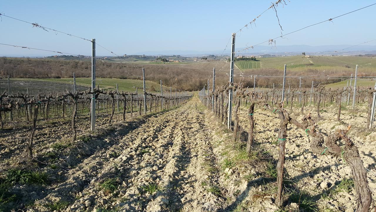 Agriturismo Podere Casa Al Vento Montepulciano Stazione Εξωτερικό φωτογραφία