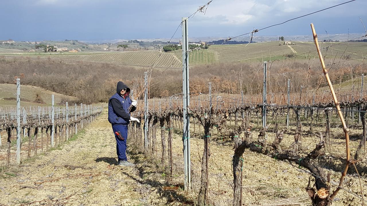 Agriturismo Podere Casa Al Vento Montepulciano Stazione Εξωτερικό φωτογραφία